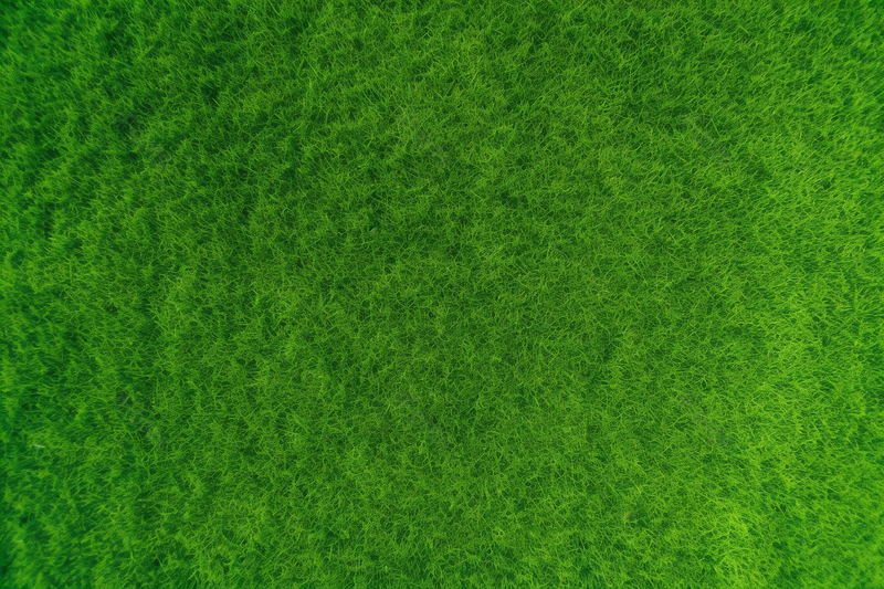 背景广告设计素材元素绿草地背景清新小草,高清,摄影图,摄影图片,图片大全,摄影图免费下载